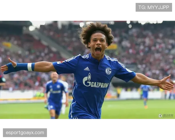 德甲转会动态揭示未来趋势：新援加盟助力球队调整，表现亮眼