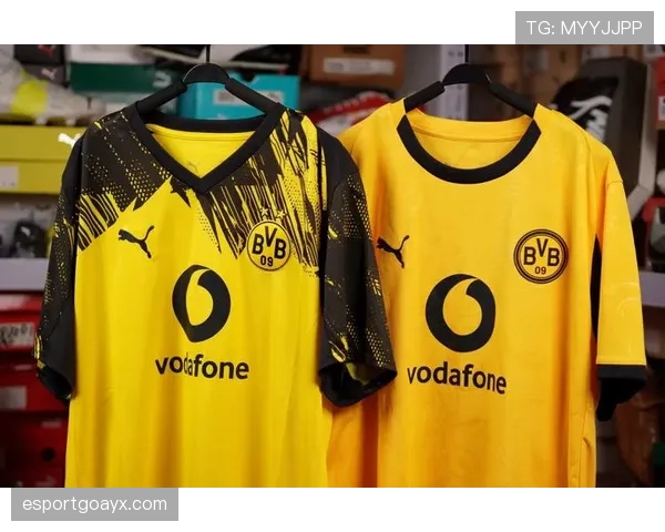 黄黑军团重燃激情！多特蒙德球迷倾力助威，球队状态强势回暖